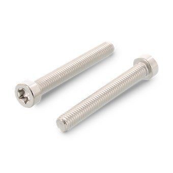 Рекомендуем купить ISO 14580 A2 M6X10 TX30